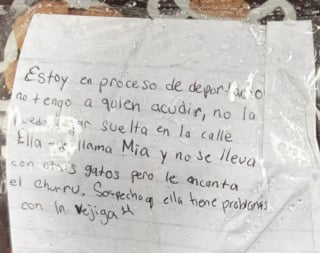 Illustration de l'article : Confrontée à l’expulsion, sa famille dépose cette chatte dans une caisse avec une note déchirante