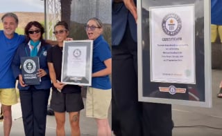 Illustration de l'article : 296 chiens réunis dans un parc aquatique battent le record du monde de participants à une fête de piscine