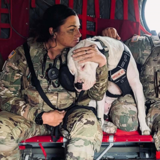 Illustration de l'article : Placé en refuge parce que sourd, ce chien trouve un rôle sur mesure dans l’armée