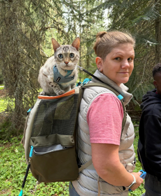 Illustration de l'article : 13 photos de chats qui explorent la nature en laisse comme de vrais petits aventuriers