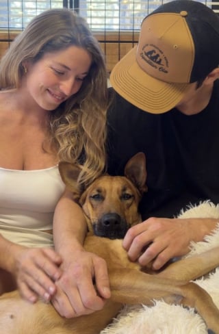 Illustration de l'article : Elle traînait son corps au sol, mais aujourd’hui, cette chienne paralysée fonce à toute vitesse sur la plage (vidéo)