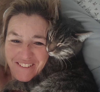 Illustration de l'article : Porté disparu depuis 3 mois, ce chat est reconnu sur une photo prise dans un refuge