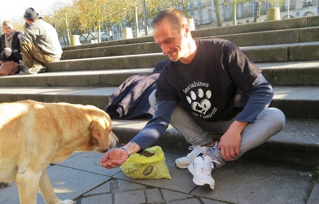 Illustration de l'article : Un ancien SDF crée les Restos du coeur pour les chiens des rues !