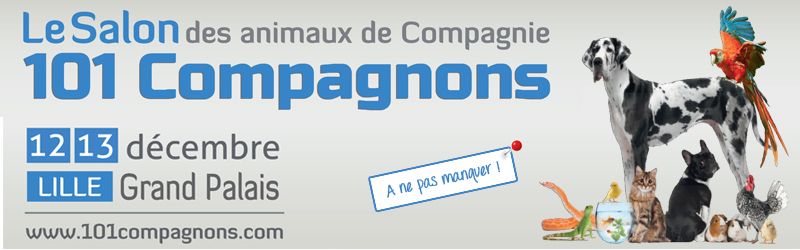 Illustration de l'article : Le Salon des Animaux de Compagnie s'expose à Lille du 12 au 13 décembre 2015 !