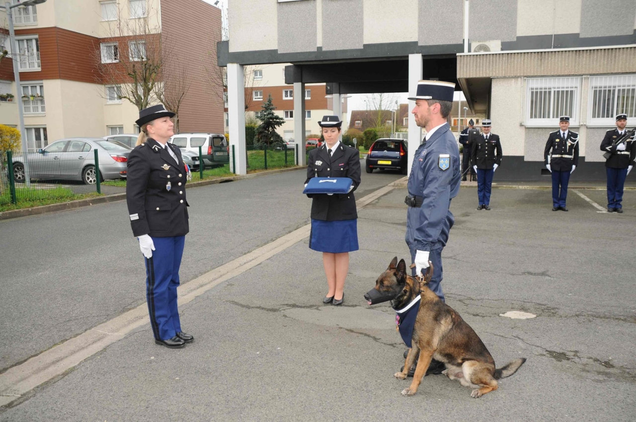 Illustration de l'article : Gamin, le chien de la gendarmerie de Melun, reçoit la médaille de la défense nationale