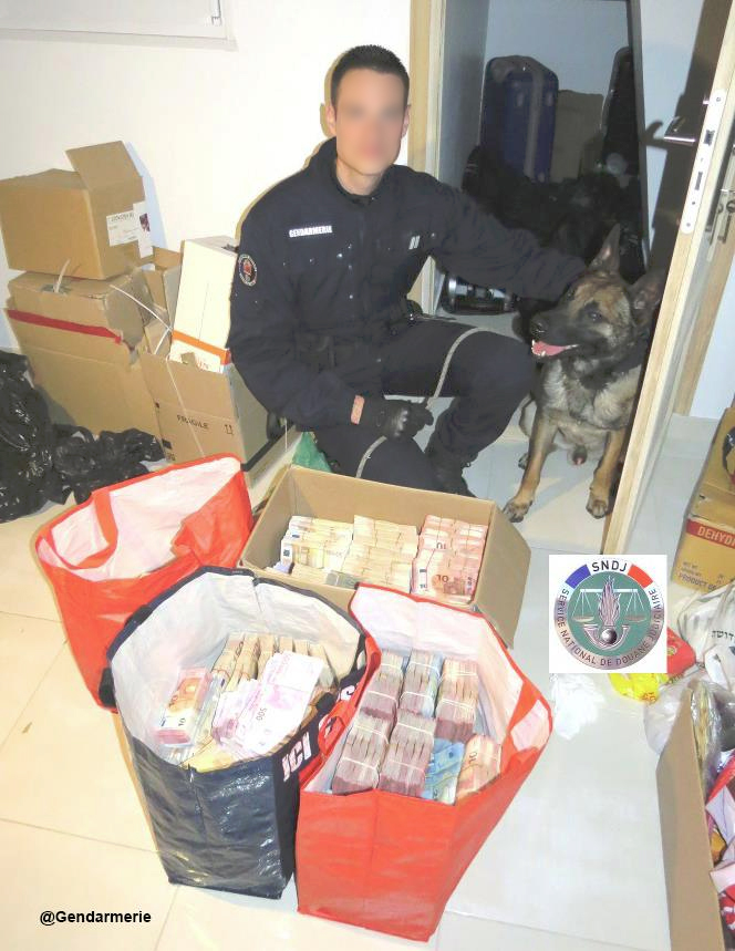 Illustration de l'article : Val d'Oise : Haïko, un chien de la Gendarmerie flaire plus de 2 millions d'euros lors d'une opération ! 