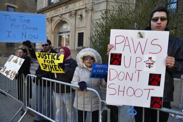 Illustration de l'article : Etats-Unis : Chien abattu par un policier dans le Bronx :les manifestants protestent devant le commissariat