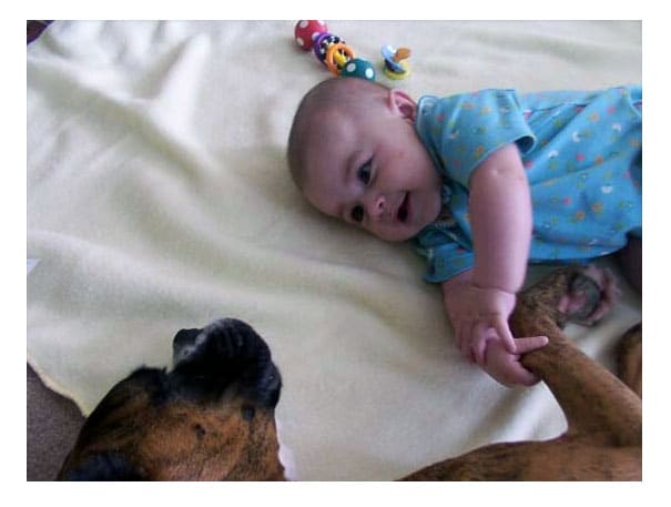 Illustration de l'article : 15 adorables photos de chiens et de bébés qui ne se quitteraient pour rien au monde