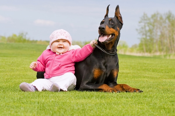 Illustration de l'article : 15 adorables photos de chiens et de bébés qui ne se quitteraient pour rien au monde