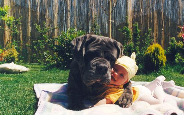 Illustration de l'article : 15 adorables photos de chiens et de bébés qui ne se quitteraient pour rien au monde