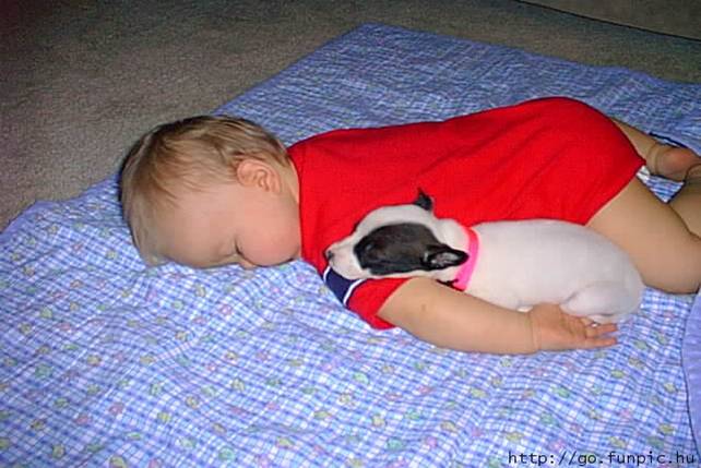 Illustration de l'article : 15 adorables photos de chiens et de bébés qui ne se quitteraient pour rien au monde