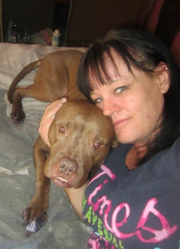 Illustration de l'article : Elevé pour se battre, ce Pitbull a été sauvé par une dame au grand cœur