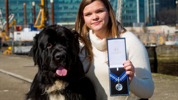 Illustration de l'article : Angleterre : une décoration posthume pour Whizz, le chien sauveteur décédé début mars