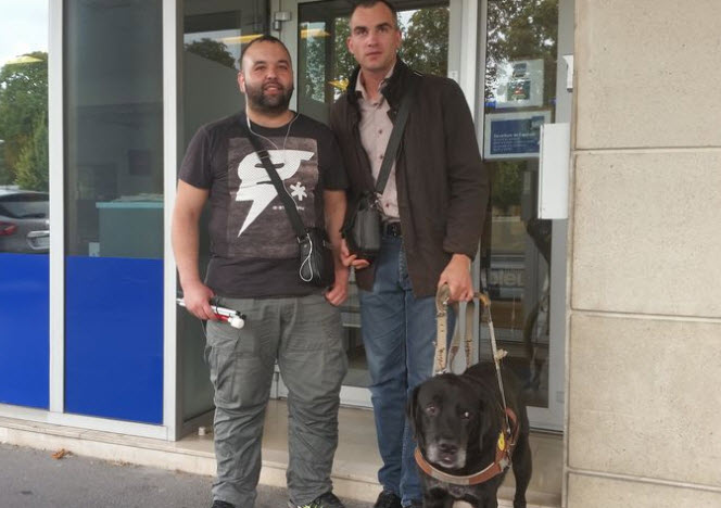 Illustration de l'article : Reims : Un non-voyant se voit refuser l’accès à un bar avec son chien-guide