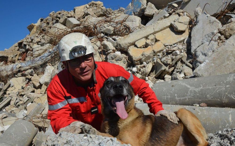 Illustration de l'article : Ulis, un Malinois, est officiellement devenu le plus vieux chien pompier de France