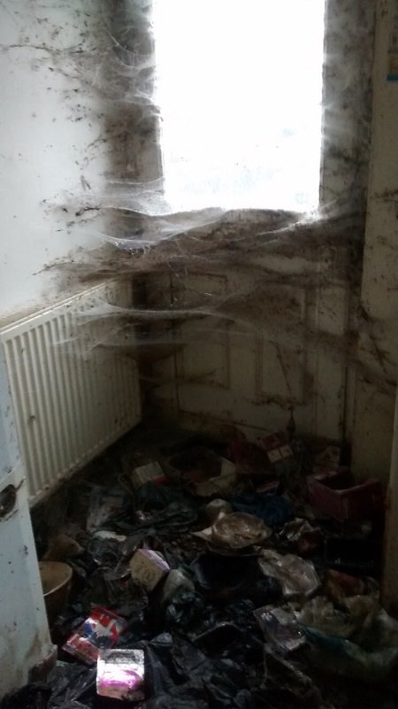 Illustration de l'article : Négligé et abandonné à son sort, ce chat retrouve une seconde chance
