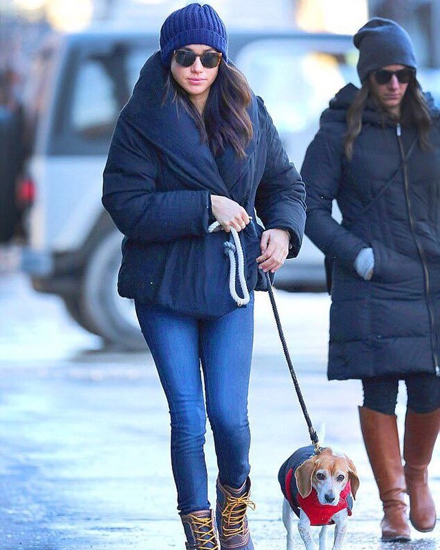 Illustration de l'article : En 2015, Meghan Markle, la fiancée du prince Harry, a adopté un Beagle et lui a sauvé la vie !