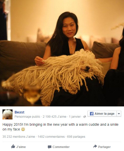 Illustration de l'article : Mark Zuckerberg publie des photos de Beast, son Puli hongrois