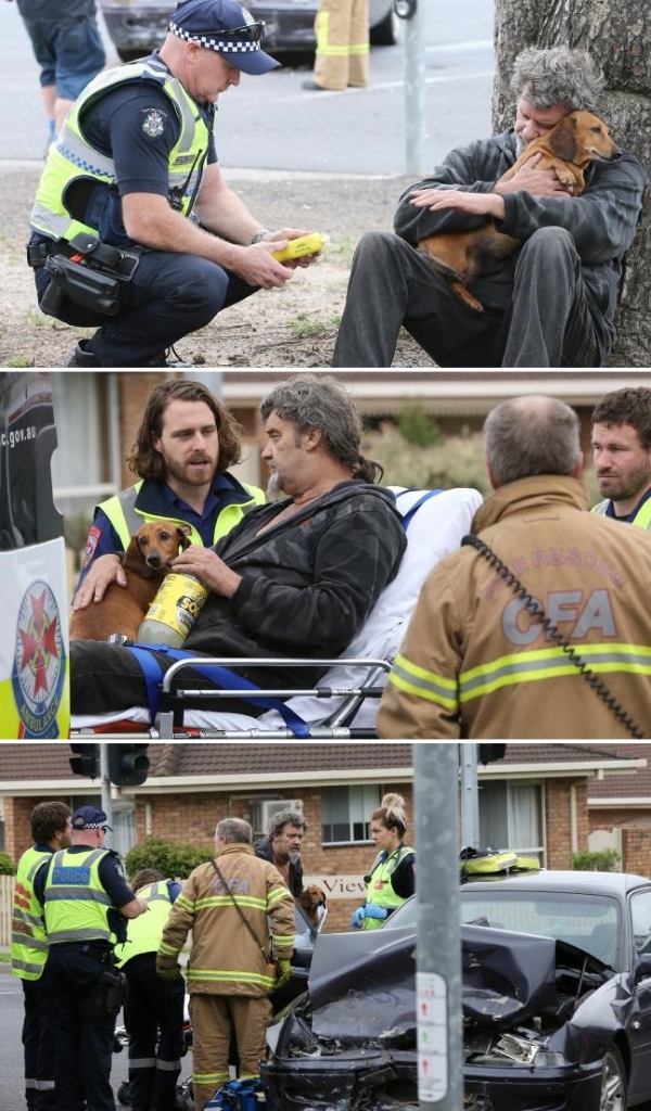 Illustration de l'article : Cet automobiliste vient de vivre un accident et refuse d'aller à l’hôpital sans son chien !
