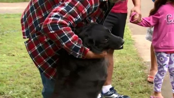 Illustration de l'article : Un chien sauve la vie d’un jeune homme piégé dans l'incendie de sa maison