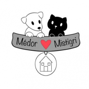 Illustration : "Médor et Mistigri"