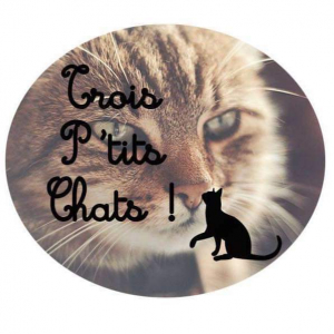 Illustration : "Trois P'tits Chats"