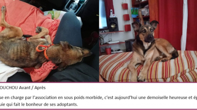 Illustration : "Au petit bonheur de nos oubliés"