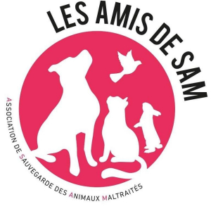 Illustration : "Les Amis de Sam"