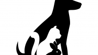 Illustration : "Adoptanimaux"