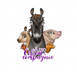 Illustration : "Association Cibou et Compagnie"