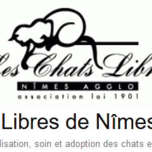 Illustration : "Chats libres de Nîmes-agglo"