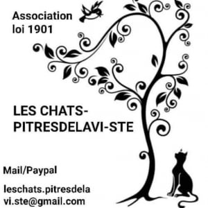 Illustration : "Les chats pitres de la Viste "