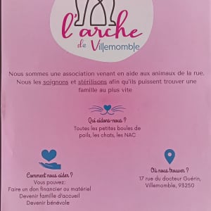 Illustration : "L'Arche de VILLEMOMBLE "