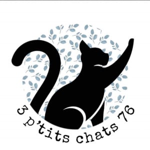 Illustration : "3 p'tits chats 76"