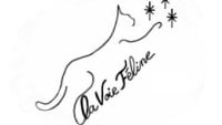 Illustration : "LA VOIE FELINE"