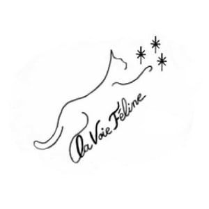 Illustration : "LA VOIE FELINE"