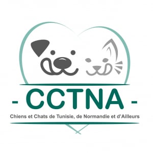 Illustration : "CCTNA"