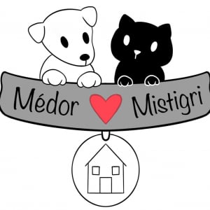 Illustration : "Médor et Mistigri"
