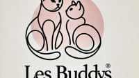 Illustration : "les buddy chats"