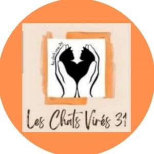 Illustration : "Les Chats Virés 31 "