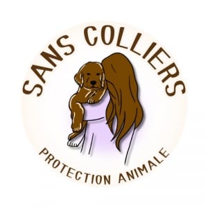 Illustration : "SANS COLLIERS"