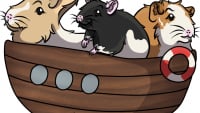 Illustration : "Refuge l'Arche de Bagheera"