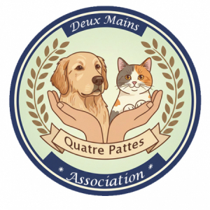 Illustration : "Association 2 mains 4 pattes"