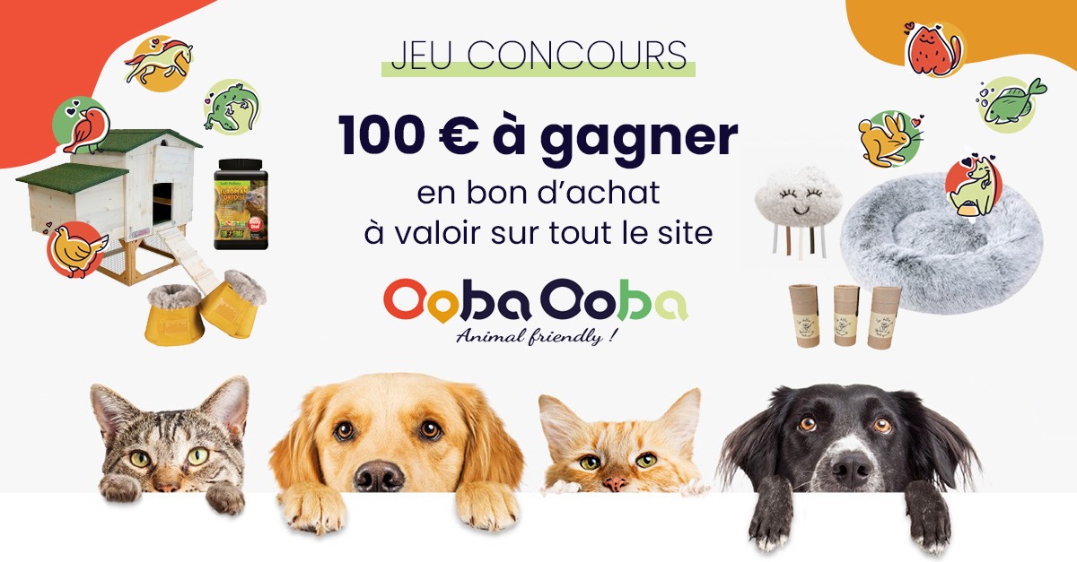 Jeu-concours Ooba Ooba du 21 février au 06 mars 2022