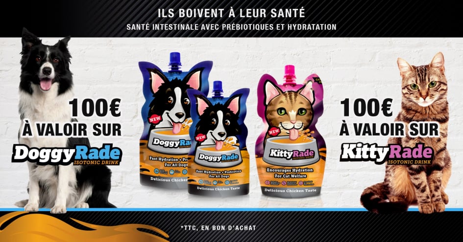 Lingettes Nettoyantes pour Chat et Chien - Vétocanis – Vetocanis