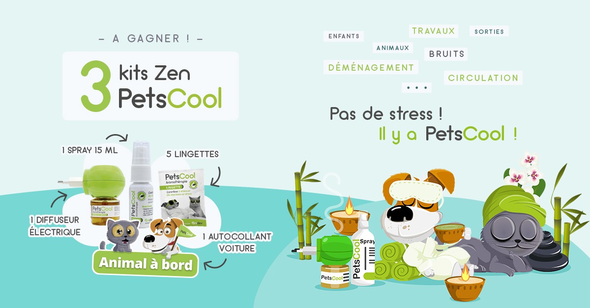 Jeu concours PetsCool du 02 au 15 mai 2022