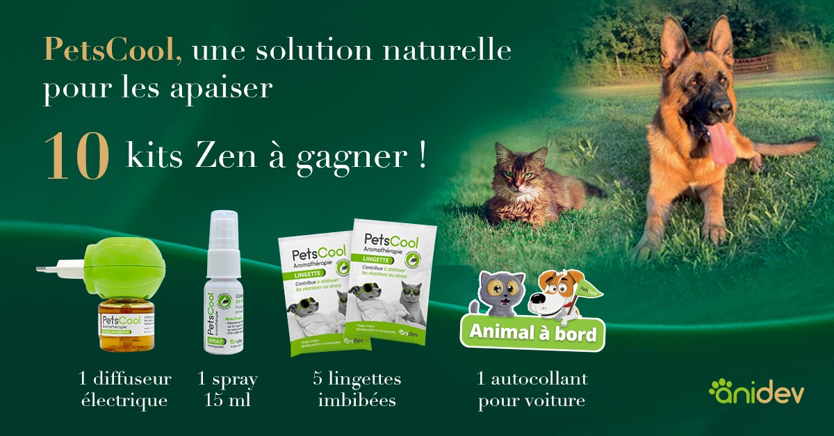 Jeu concours PetsCool du 31 mai au 21 juin 2023