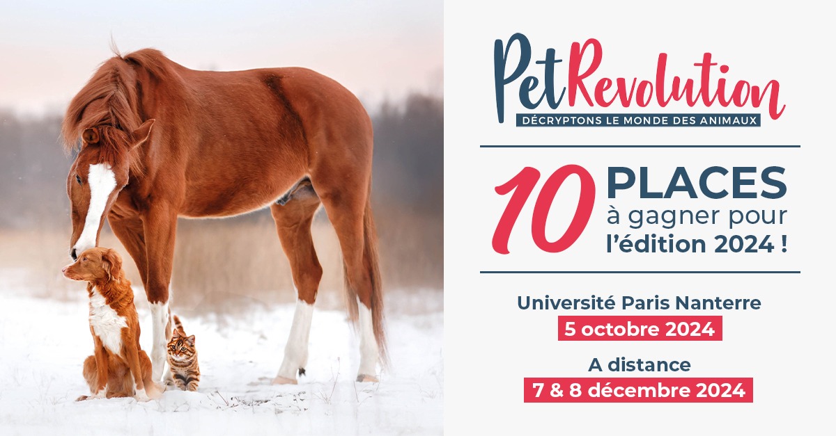 Jeu concours Pet Revolution du 17 juin au 07 juillet 2024