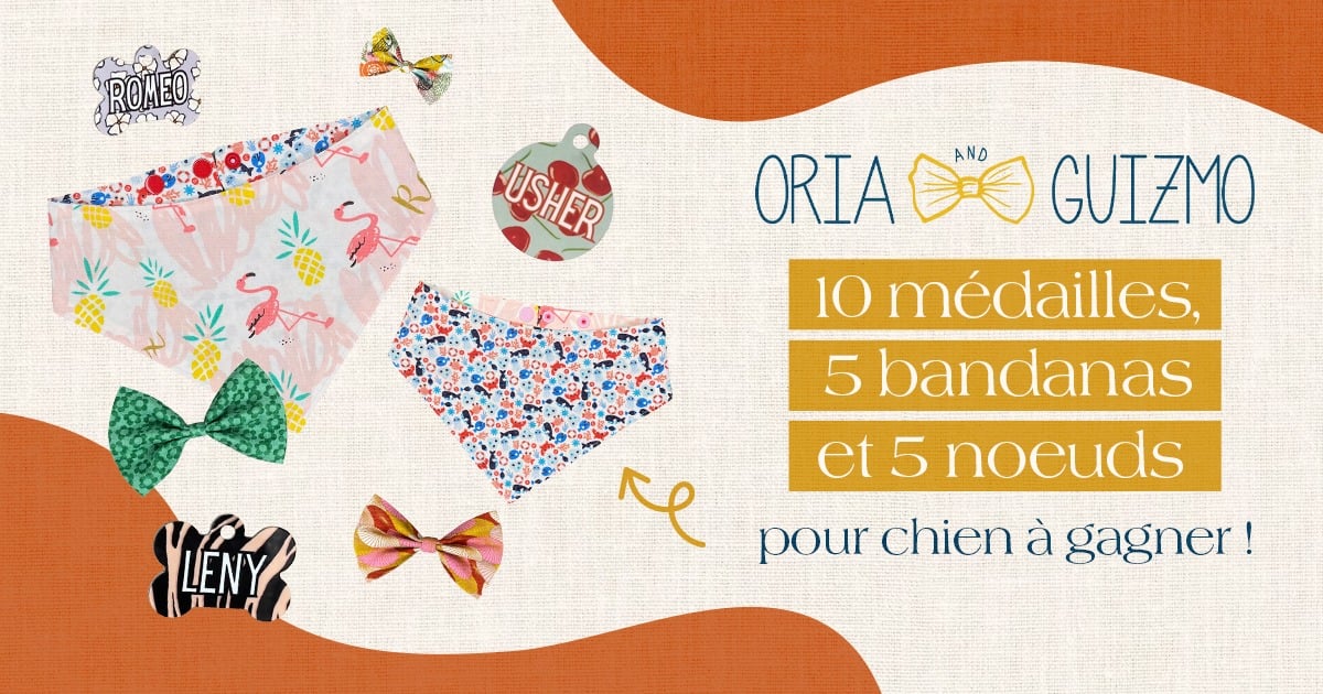 Jeu concours Oria & Guizmo du 12 au 23 juin 2025