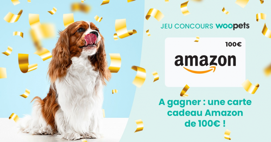 Jeu concours Woopets